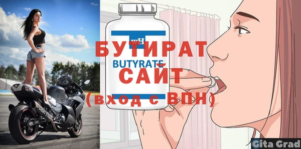 стаф Ельня